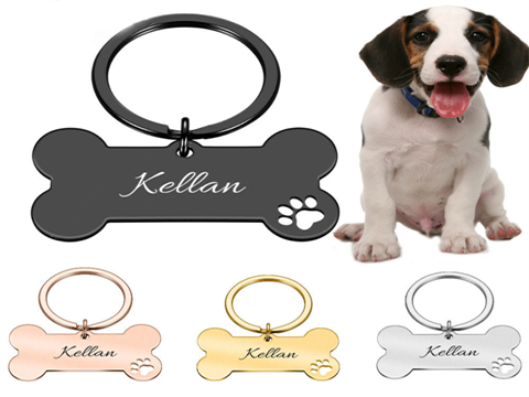 CUSTOMIZING PET ACCESSORIES WITH ARGUS CO2 LASER ENGRAVER MACHINES