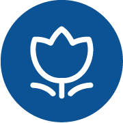 Efficiency in Complex Cutouts