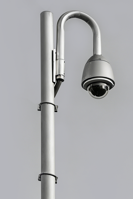 Smart City Pole Integration