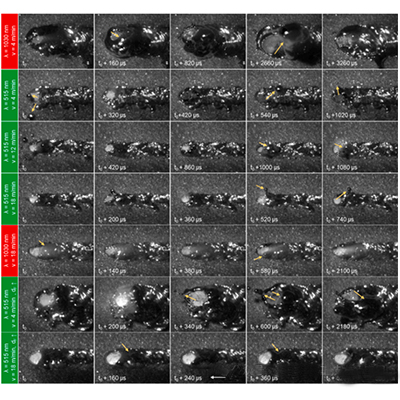 Impact of Laser Wavelength Variations on Copper Welding Process Performance and Joint Properties in EV Manufacturing