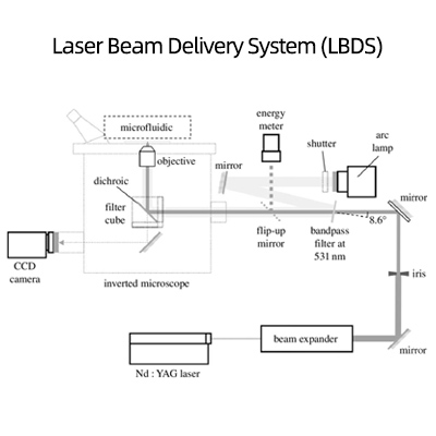 ​​Laser Beam Delivery System (LBDS)​​