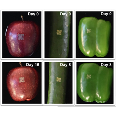 Fresh-Produce-CO2-Laser-Labeling.jpg