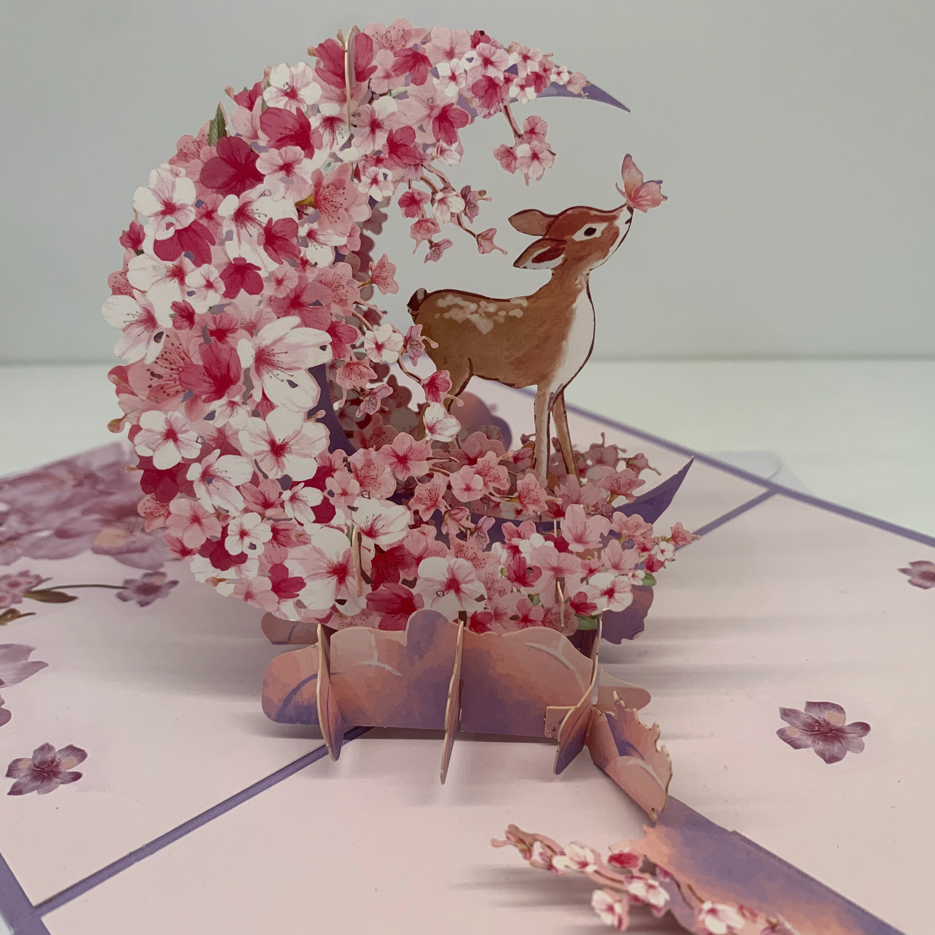 crop_1748511722465