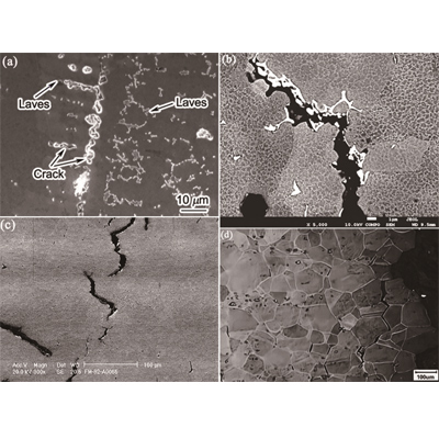 Mechanisms of Crack Formation in Nickel-Based Superalloys Processed by Selective Laser Melting
