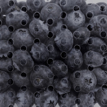 Fruits/Vegetables
