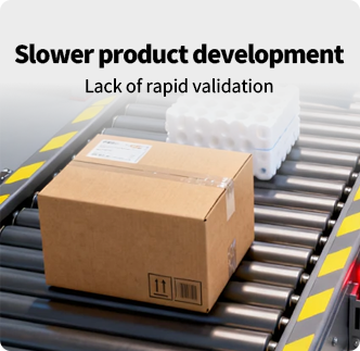 Lack of rapid validation- Slower product development